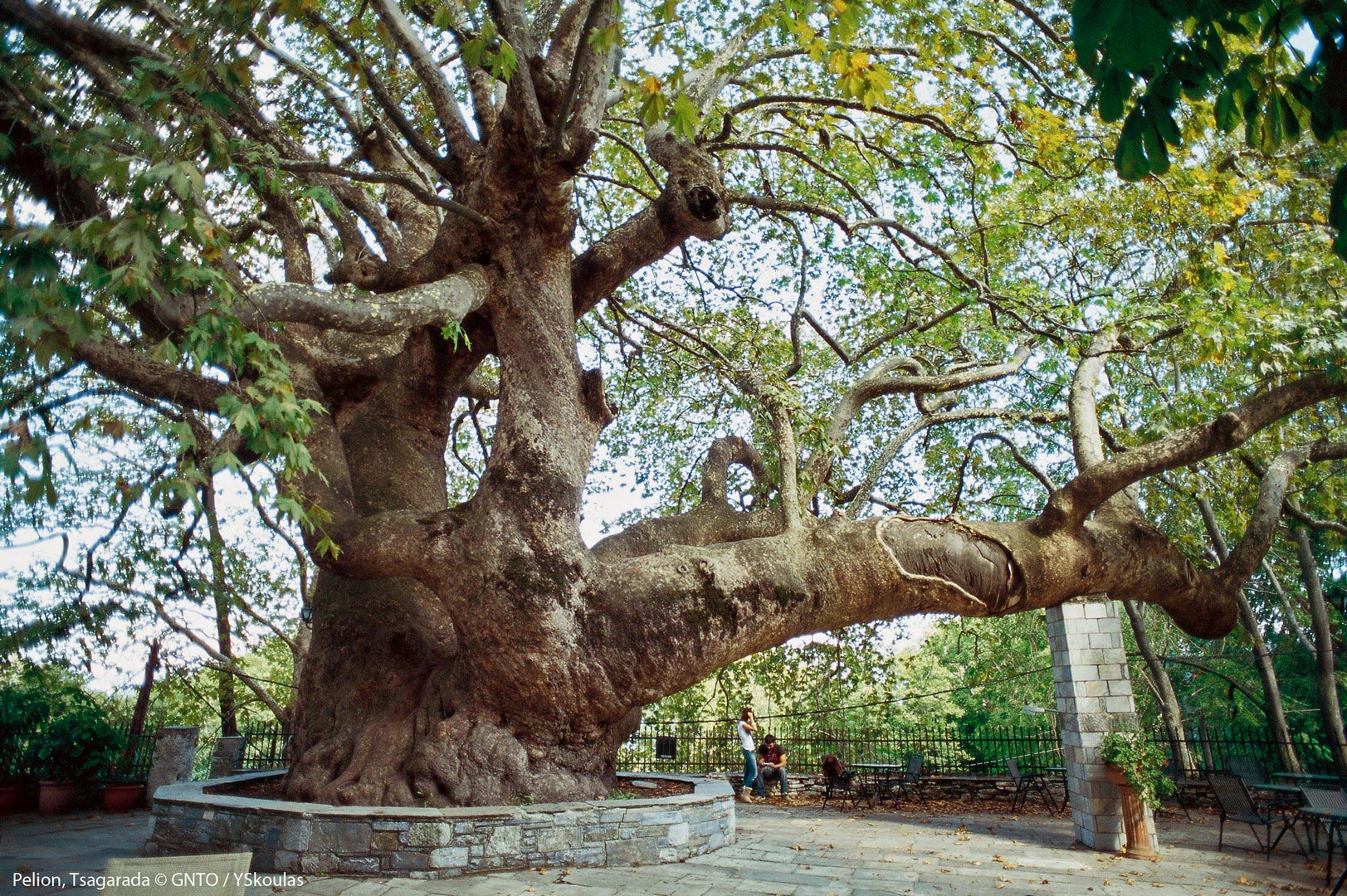 Pelion_Tsagarada_174_photo-Y-Skoulas